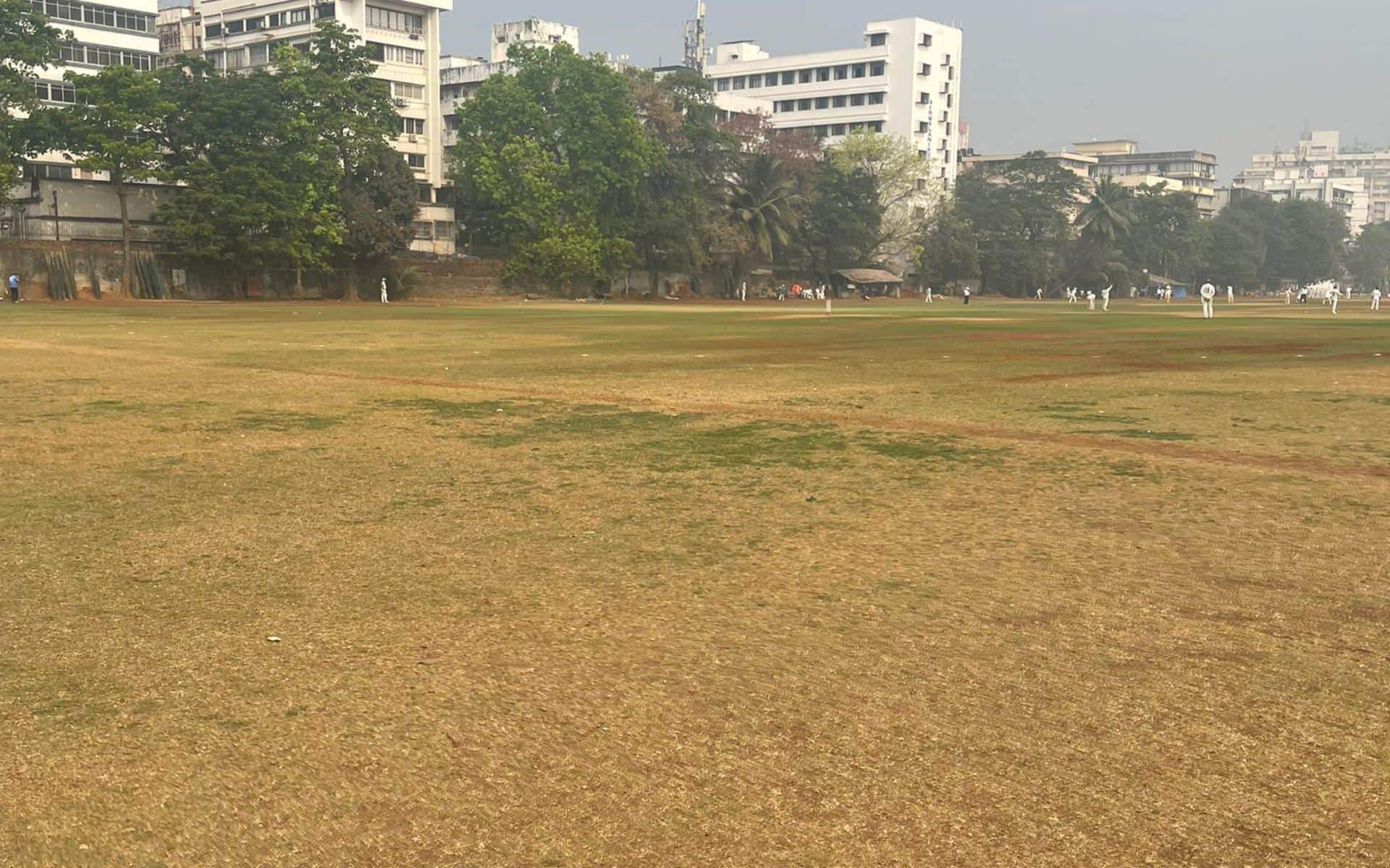 Delhi Stadium Under Trouble After 13-Year-Old Boy Dies Of Electric Shock Playing Cricket